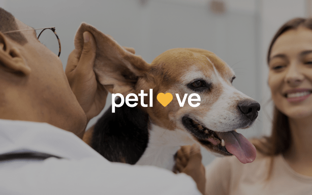 lover of pet
